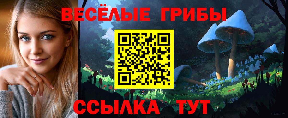 Галлюциногенные грибы ЛСД Дмитров