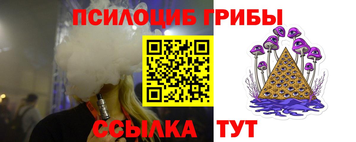 Дмитров  Псилоцибиновые грибы GOLDEN TEACHER  Вход с VPN 